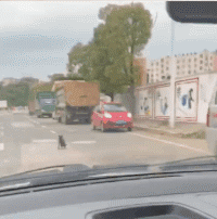 |搞笑GIF:我说这这外观和配置都到头了没人反对吧?