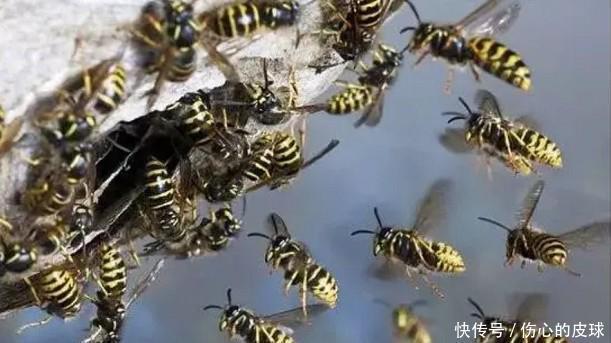 23个始终都存在,但是你一直都不相信的事实