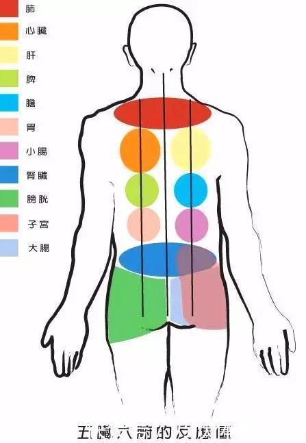 俞穴|夏天开背，人活百岁，学会6个养背方法，健康不受罪！