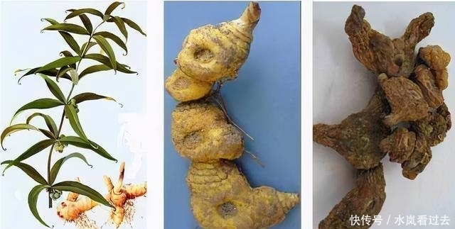 农业|神仙大历史(九)神农石年出世,发现百谷的历史,农业改变了世界