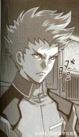 机体|高达seed登场机体介绍，高达篇（圣盾高达）