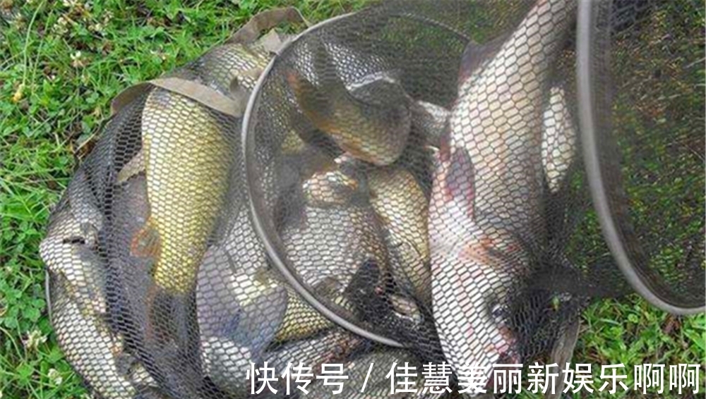 水温|盛夏钓位深浅选择“绝招”:鱼“吃饭”时钓浅,鱼“休息”时钓深