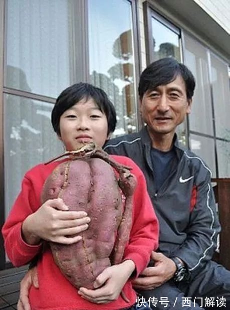 你绝对没见过的奇特的瓜果蔬菜!大开眼界!