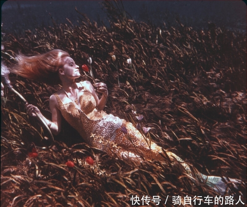美丽|老照片 1959年美国水下舞蹈表演 美丽的美人鱼