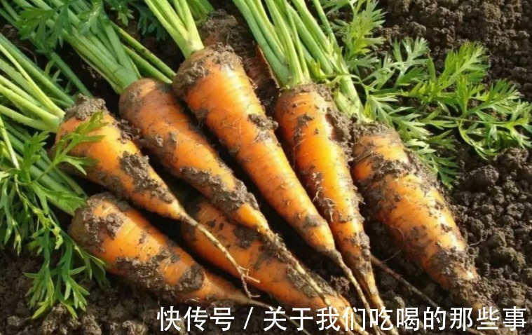 胡萝卜|买胡萝卜,带泥和不带泥哪种好?菜农从不吃这种,很多人却喜欢买