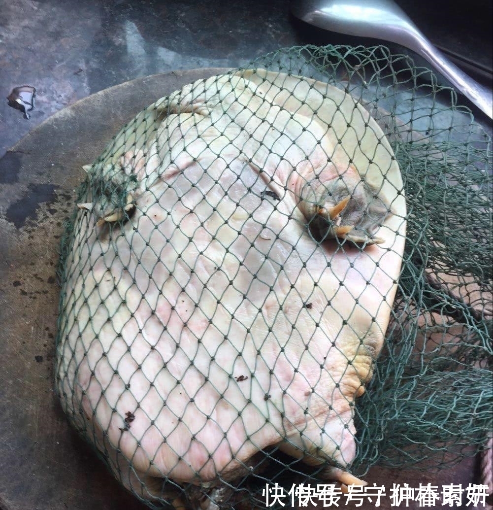 钓鱼|大爷洪水边上钓鱼，汹涌河水中钓起一“大物”，顿时心神不安