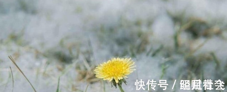 春天里@李煜水平很高的一首词,通篇都在描写忧愁,可是却没有一个愁字!