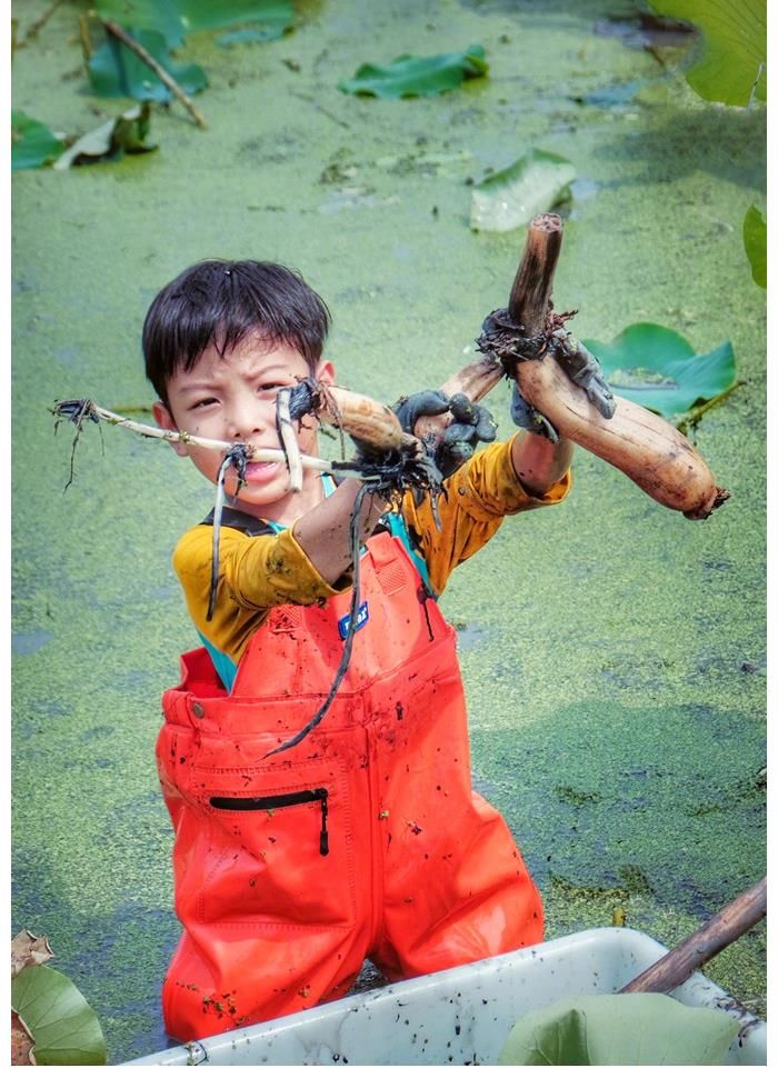 smg|上海主持百克力帶兒子下田挖藕！倆人滿臉淤泥依舊笑意滿滿