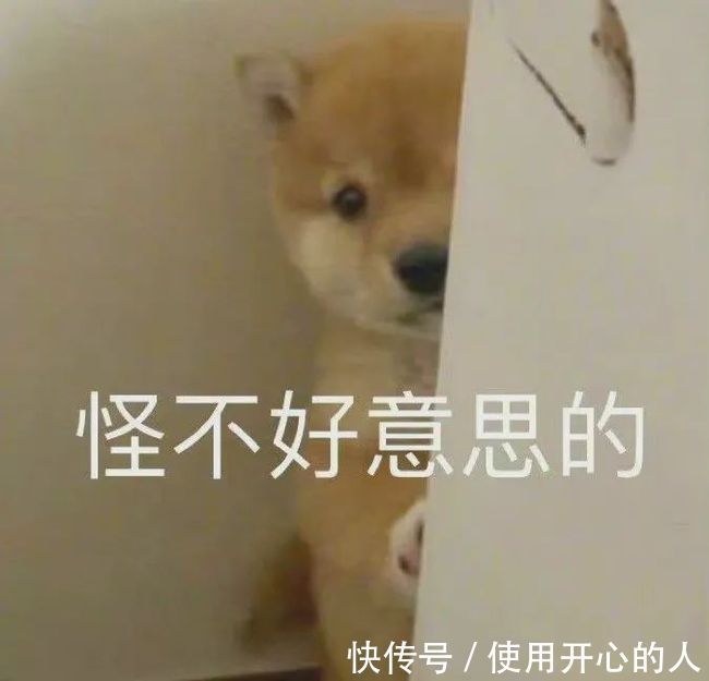 |坐车忘带钱,结局太令人暖心哈哈哈!段子