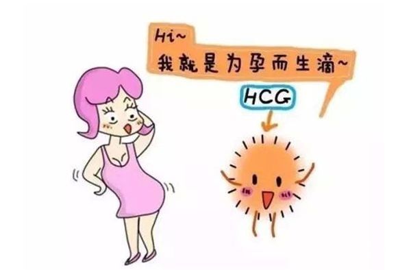 宫外孕|解析孕期HCG值的相关知识