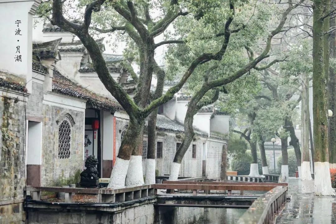 天青色等烟雨，宁波美到你！