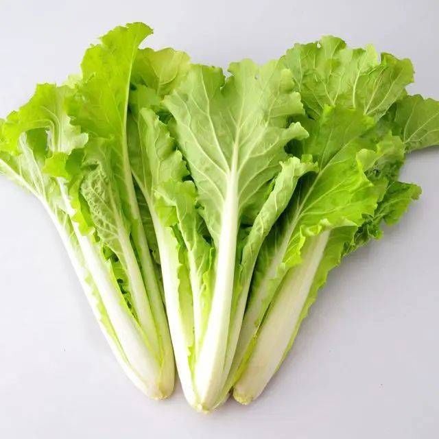 蛋白质|9岁男孩,查出肾衰竭,母亲悔哭不已,提醒:孩子4个地方不能打