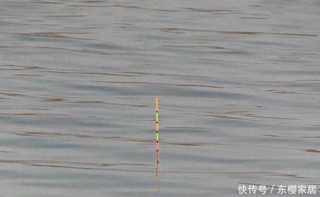 漂相|野钓鲫鱼,夏秋季节抓顶漂,冬季多抓顿口,这是为什么呢?