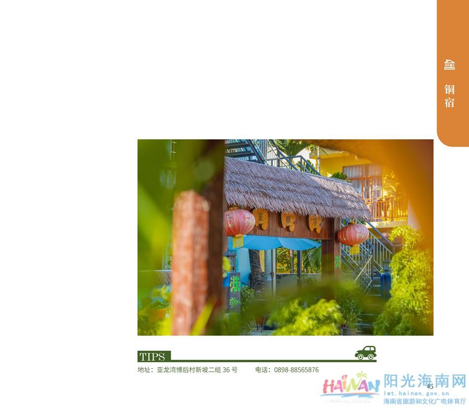 中薪|收藏！海南乡村民宿超全指南来了，看完好想都住一遍！