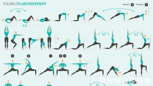 秘密|9幅珍藏级瑜伽挂图,揭开瑜伽老师备课的秘密!