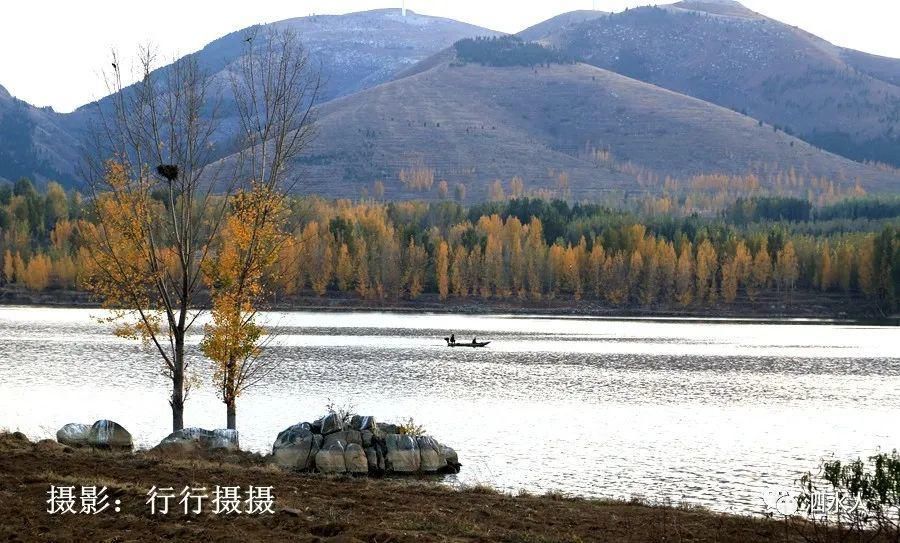  卧虎|新发现！泗水有一宛若卧虎的山，秋色正艳美如画