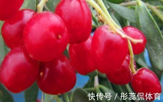 排毒|好食物吃出好身体,常吃3种食物,滋阴补肾,排毒消脂,润肤养颜