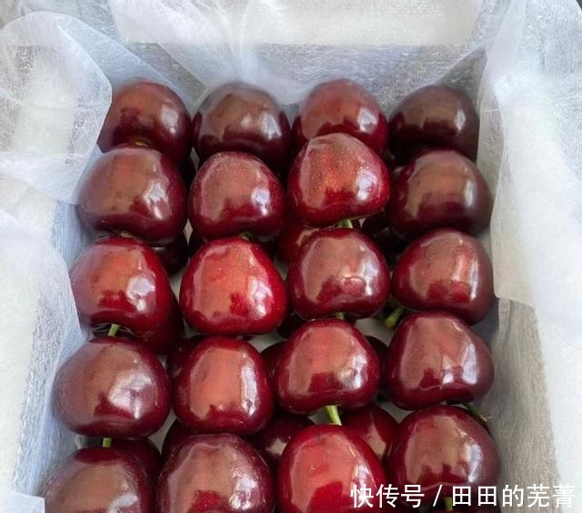 消暑|夏天，这些碱性水果要常吃，再贵也要舍得吃，营养好吃又消暑！