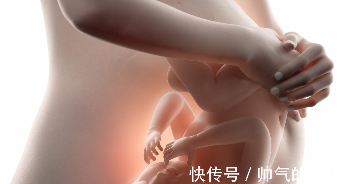 成人|早在胚胎时期,宝宝的大脑就开始发育,怎样助力成就聪明大脑呢