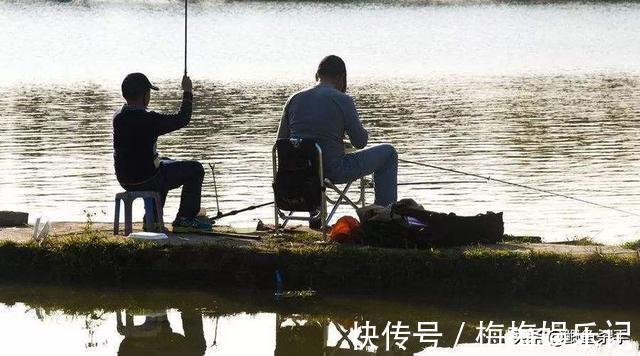 栖息|别再抢老钓位了,“秋老虎”鱼儿都藏在这,选这垂钓事半功倍
