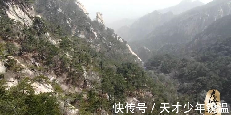 岱庙&著名画家张宜：大美山东韵，泰山松柏长