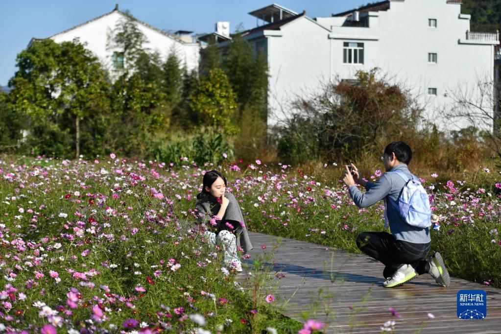 浙江|浙江仙居：绘就山水画 推进全域旅游建设