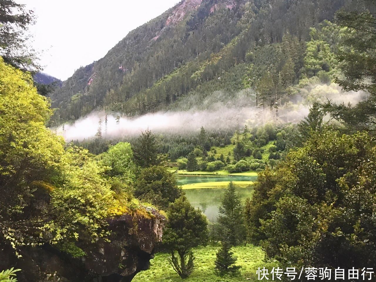 甘孜藏区大山深处世外桃源，竟招如此对待