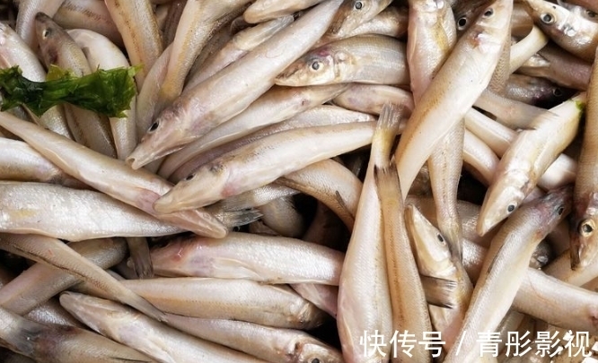 沙丁鱼|12岁女孩身高163厘米,医生:3种食物是秋季身高“增长器”,可多食