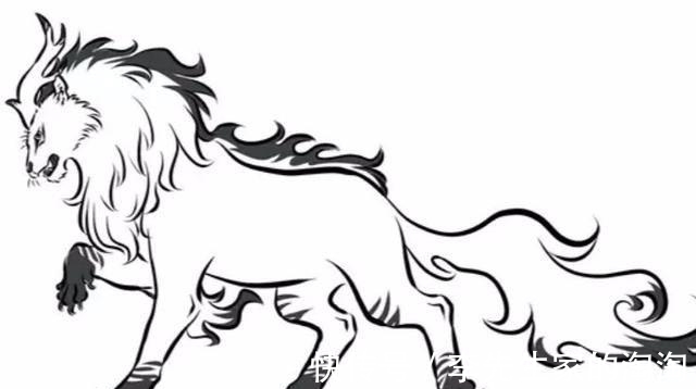大和|海贼王:幻兽种“大和”到底是什么恶魔果实?这三种概率最大