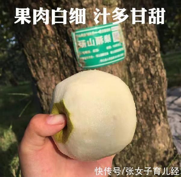 积食|入秋后想要孩子长个子,柿子等水果少给宝宝吃,再营养也不行