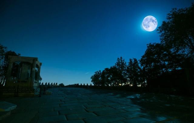 暮鸦#诗词:雨霁秋林见暮鸦,人形雁阵弄新霞
