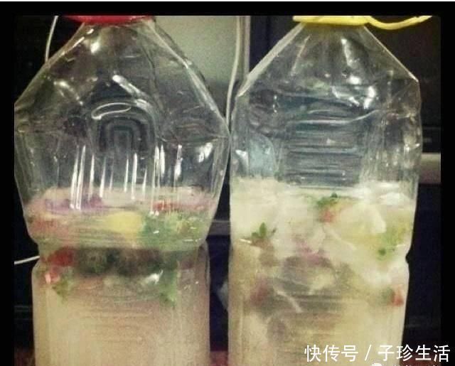 自来水|盆土铁如锤浇这“2种水”，一浇就疏松，5年不用施肥换盆了