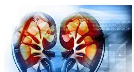 嗜铬细胞瘤|原来这些高血压都不用长期吃药,这下总算明白了