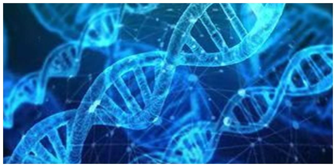 如果没有验DNA，根据杜新枝所办证件，“错换”事件结果令人后怕