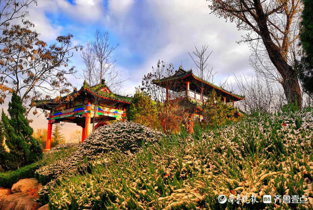 老年|大美!济南鲍山公园雪挂枝头,黄昏落日惊艳了初春