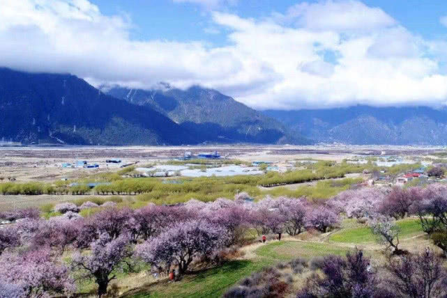 生肖|七月份桃花旺的挡都挡不住的三个生肖，甜甜的恋爱终于来到了