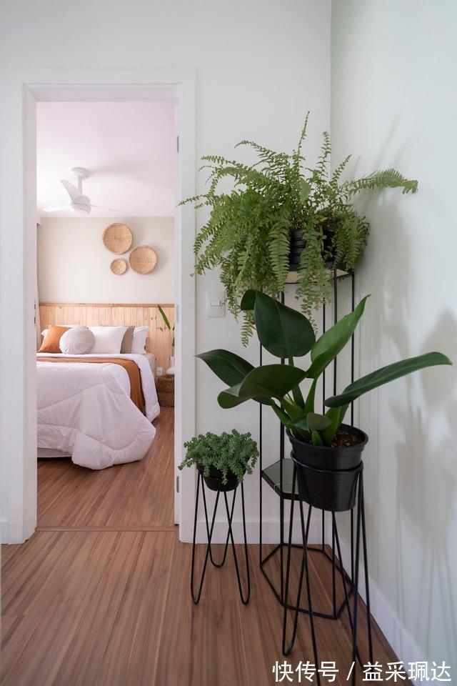 蜗居|虽然没阳台,也没有书房,但布置温馨,小夫妻蜗居52㎡的家也满足