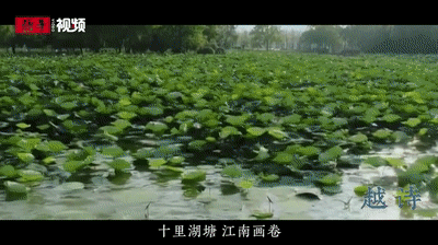 陆游|【越诗】湖开镜面似新磨