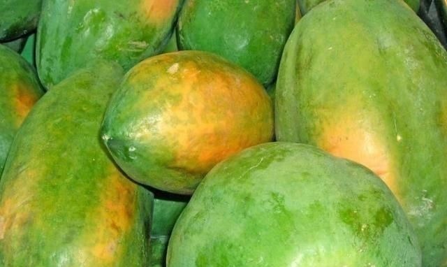 雪燕|此物是天然“雌激素”,女人常吃,养颜护肤,越吃越有女人味