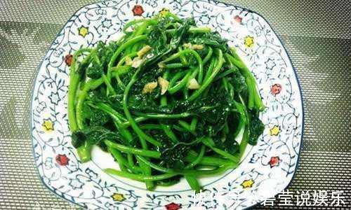 盆栽|1斤叶子顶得上人参!自家在家盆栽一盆天天摘着吃!