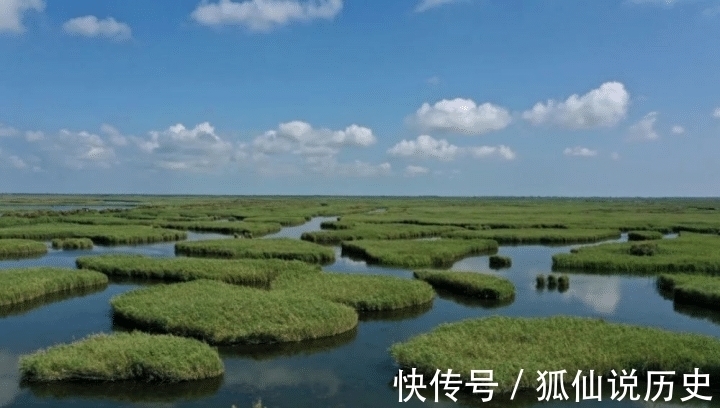 生态|最年轻的湿地生态系统——黄河三角洲