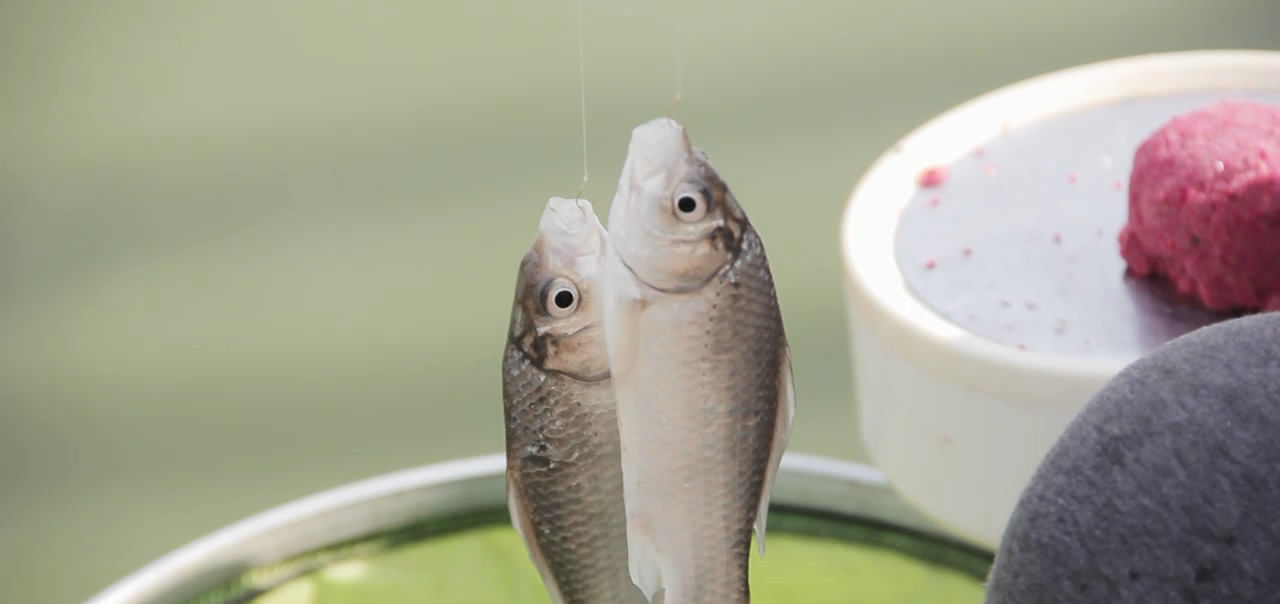 台钓钓鱼的时候,有什么办法让双钩同时中鱼办法是有,但不敢用