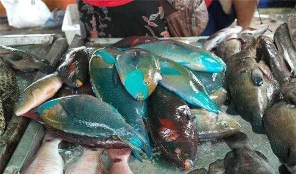  3种因颜值劝退吃货的鱼，营养价值极高，第2种市场上卖的没脑袋