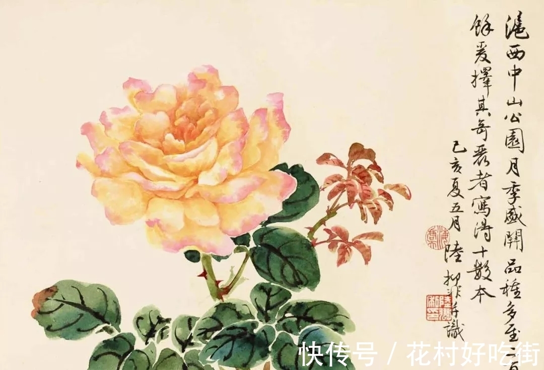国画家$国画家|陆抑非的月季花