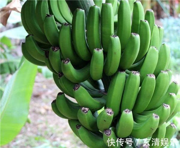 香蕉|人到中年想长寿，常吃以下几种食物，减轻皱纹、淡化色斑，显年轻