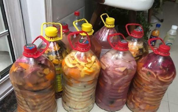 养花不用买营养液，准备好香蕉皮，盆栽植物叶子不泛黄