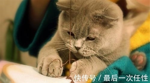 |幽默笑话:大表哥在高速公路收费站工作,想让我一起去上班