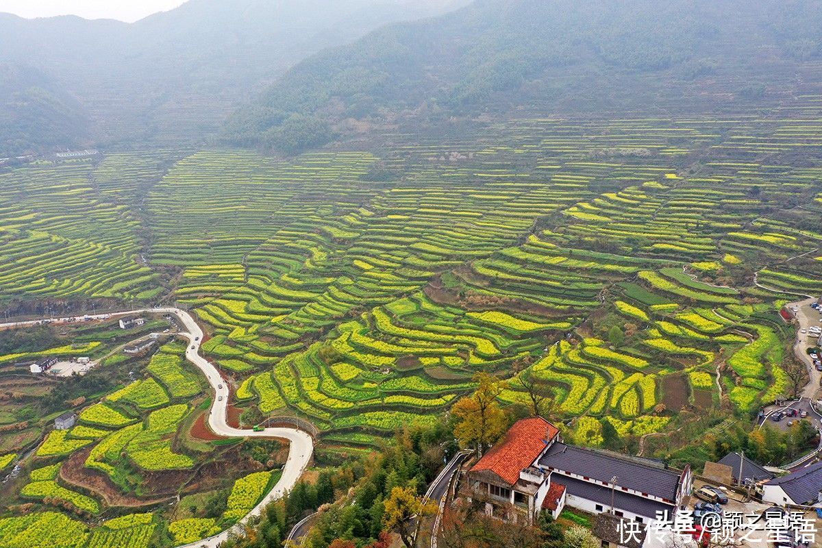 千年梯田花海，美得震撼，免费欣赏