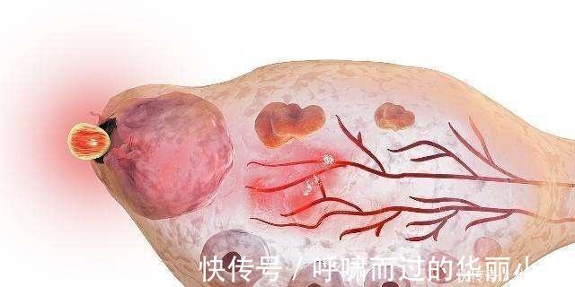 排卵|你知道女人一生要排多少卵子,卵子排出来之后,是什么样吗