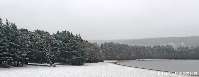 飞雪 英国五月飞雪，2021年是世界末日？英国创造历史低温